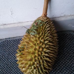 Whole Durian