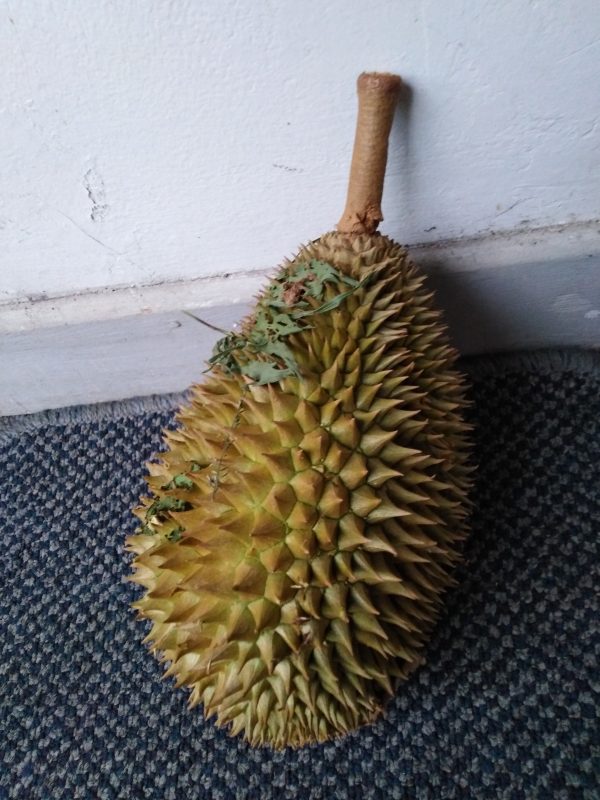 Whole Durian